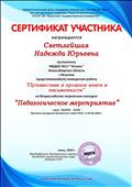 Сертификат представила конкурсную работу "Путешествие в прошлое книги и письменности" на Всероссийском творческом конкурсе "Педагогической мероприятие"